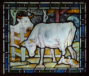 stained glass image of 2 white cows
